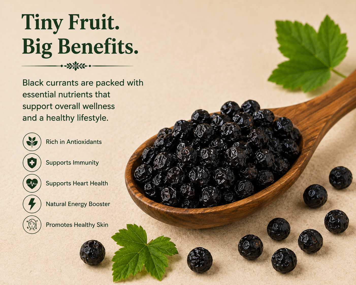 Dried Black Currants (Premium)