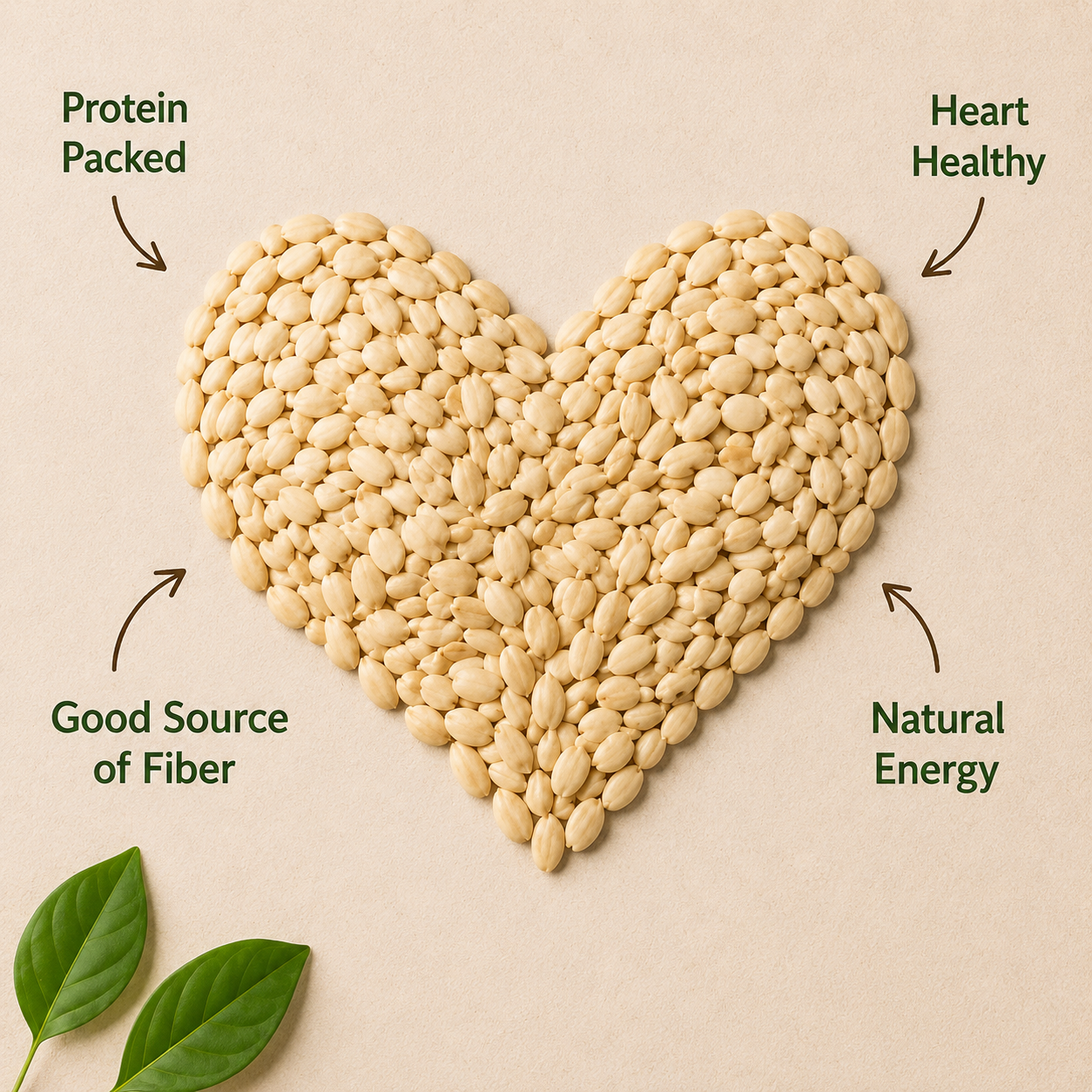 Seeds - Melon (Magaj)
